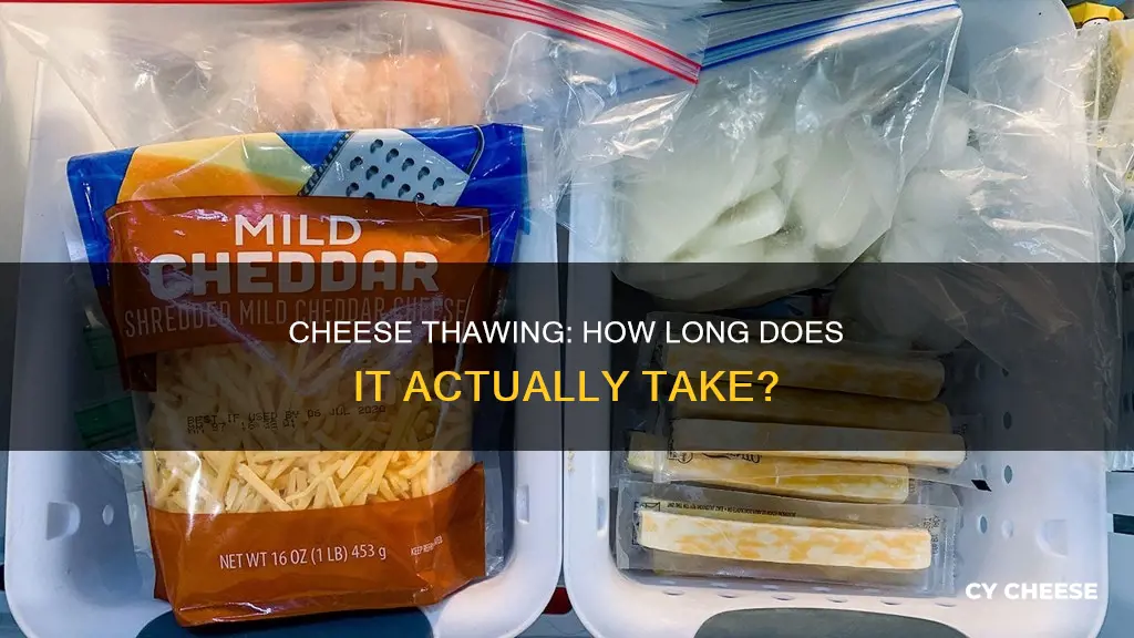 how long does cheese take to thaw