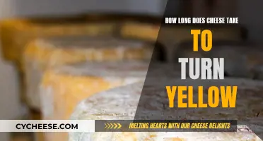 Cheese Aging: Yellowing Timeline and Process Explained