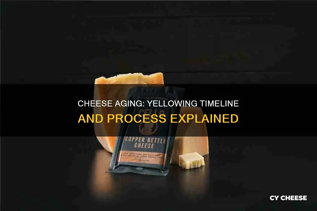 how long does cheese take to turn yellow