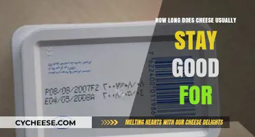 Cheese Lifespan: How Long Does it Last?