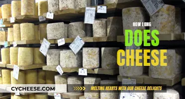 Cheese Longevity: How Long Does Cheese Really Last?