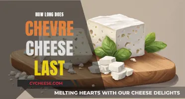 The Longevity of Chevre Cheese: How Long Does it Last?