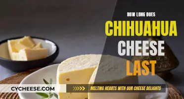 The Longevity of Chihuahua Cheese: How Long Does it Last?