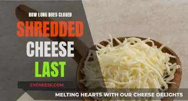 Shredded Cheese: How Long Does It Last?