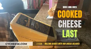 Cheese Storage: How Long Does Cooked Cheese Last?