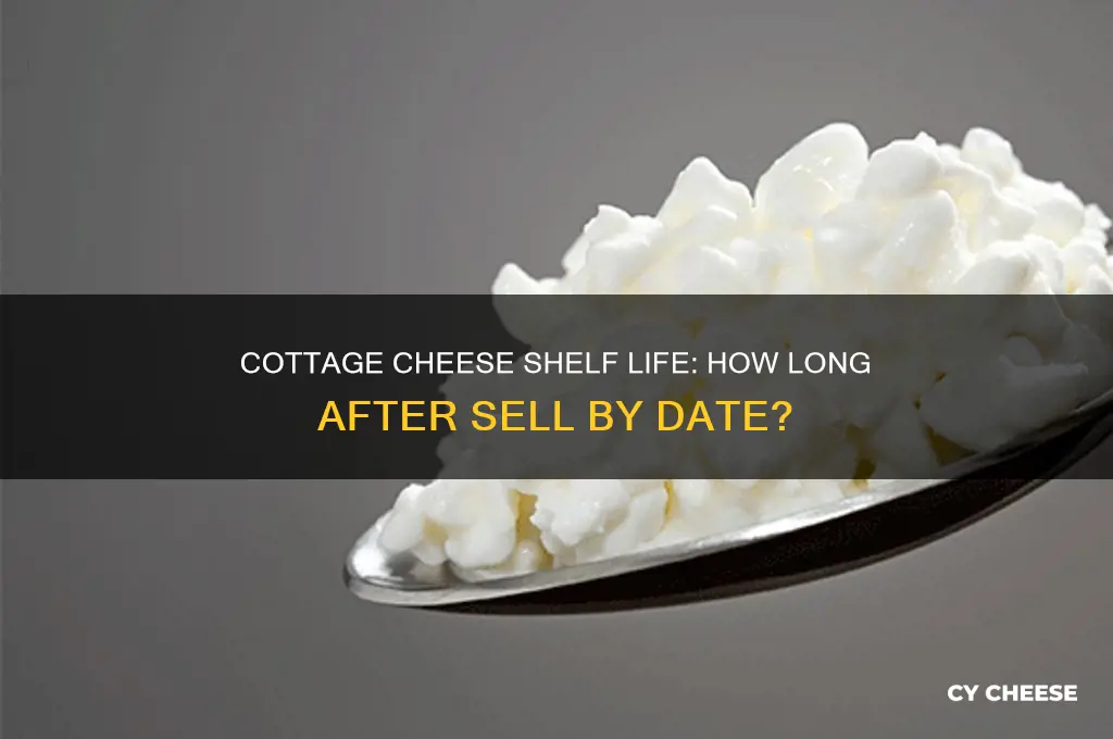 how long does cottage cheese last after sell by date