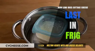 Cottage Cheese Shelf Life: How Long Does It Last in the Fridge?