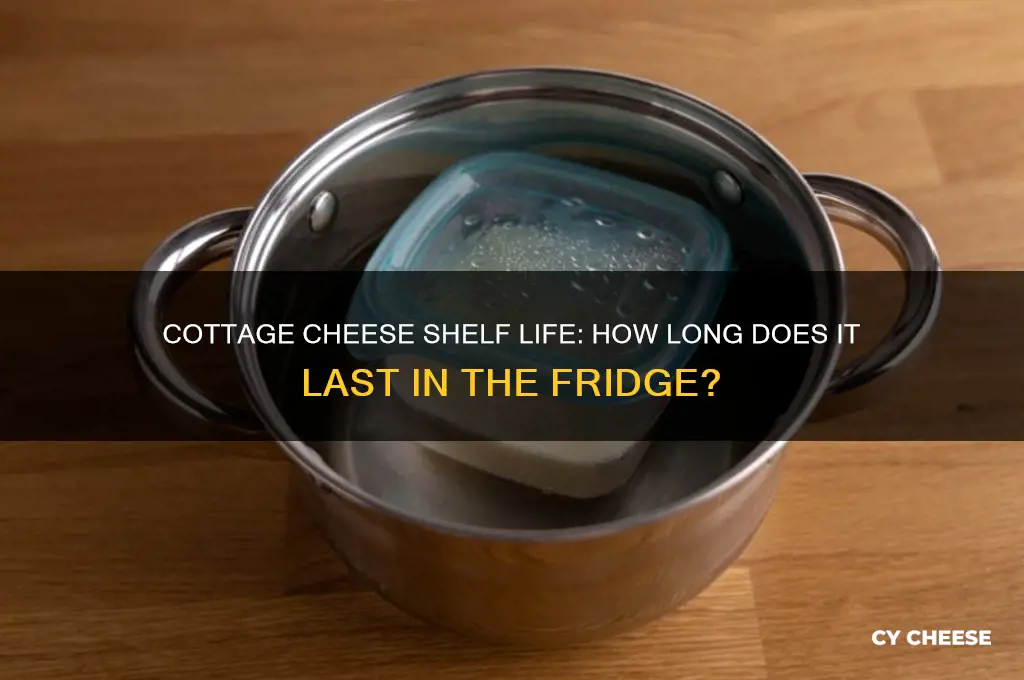 how long does cottage cheese last in frig
