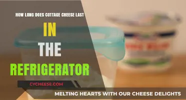 Cottage Cheese Shelf Life: How Long Does It Last in the Fridge?