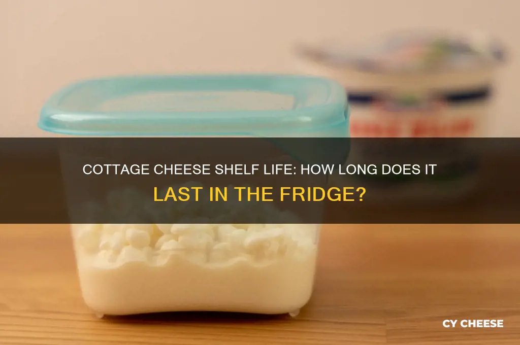 how long does cottage cheese last in the refrigerator
