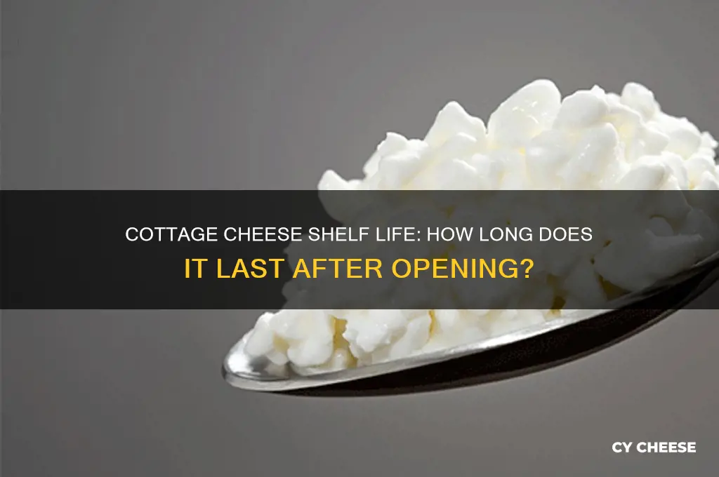 how long does cottage cheese rt last after opening