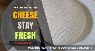 Cottage Cheese Freshness: How Long Does It Stay Good?