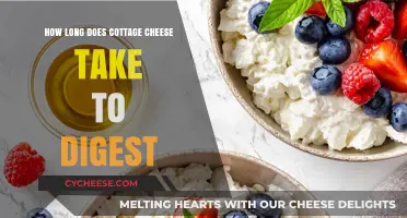 Cottage Cheese Digestion Time: How Long Does It Take?