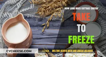 Freezing Cottage Cheese: Timeframe and Tips for Optimal Results