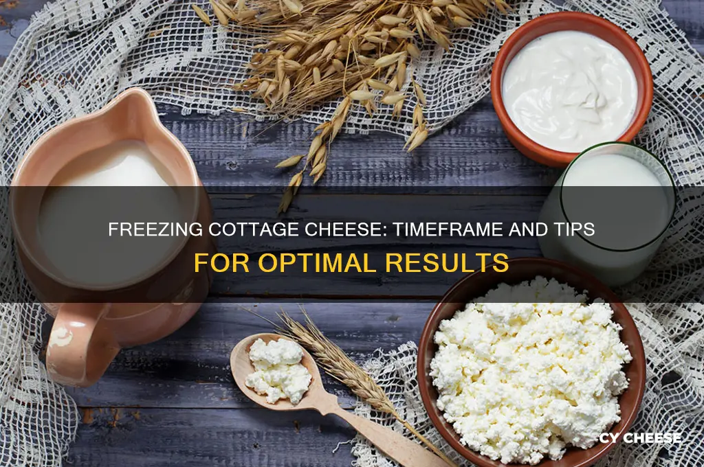 how long does cottage cheese take to freeze