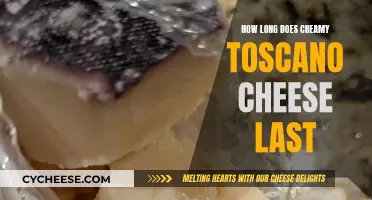 The Longevity of Creamy Toscano Cheese: How Long Does it Last?