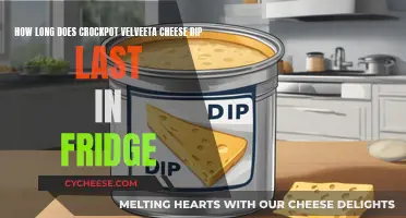 Velveeta Cheese Dip: How Long Does it Last?