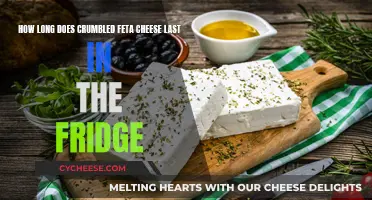 Feta Cheese: How Long Does It Last?