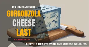 Gorgonzola Cheese: How Long Does It Stay Fresh?