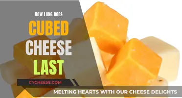 Cheese Storage: Cubed Cheese's Shelf Life Explained