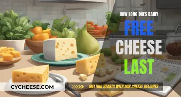 Dairy-Free Cheese: How Long Does It Last?