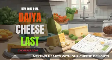 Daiya Cheese: How Long Does It Last?