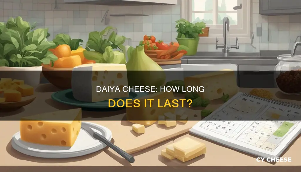 how long does daiya cheese last