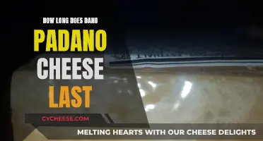 The Longevity of Dano Padano Cheese: How Long Does it Last?