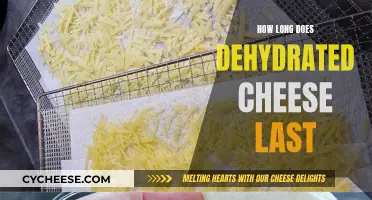 Dehydrated Cheese: How Long Can You Store It?