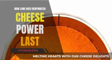 Dehydrated Cheese Powder: How Long Does It Last?