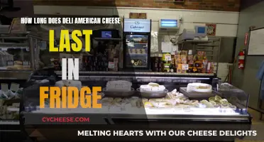 The Ultimate Guide to Storing Deli American Cheese