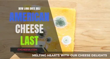 The Ultimate Guide to American Cheese Longevity