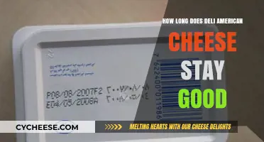 The Ultimate Guide to American Cheese Shelf Life