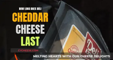 The Longevity of Deli Cheddar Cheese Explained