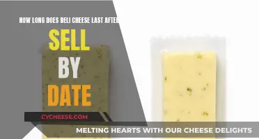 Deli Cheese: How Long Does It Really Last?