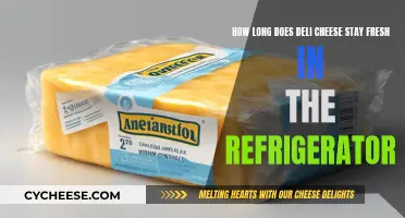 Deli Cheese: How Long Does Freshness Last in the Fridge?