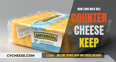 Cheese Storage: Keeping Deli Counter Cheese Fresh