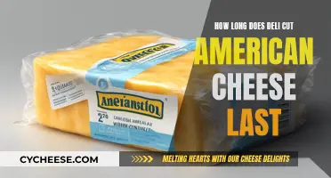 The Ultimate Guide to American Cheese Freshness