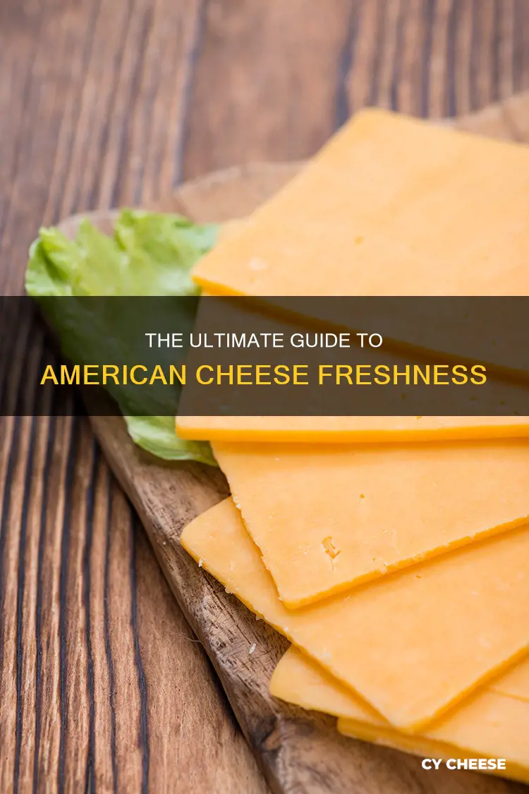 how long does deli cut american cheese last