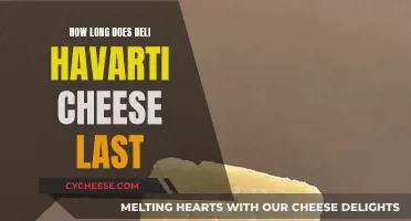 The Ultimate Guide to Storing Deli Havarti Cheese