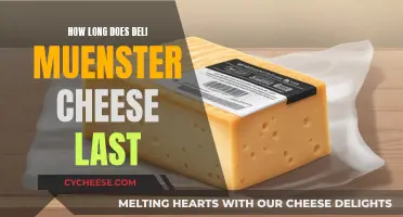 The Ultimate Guide to Storing Muenster Cheese