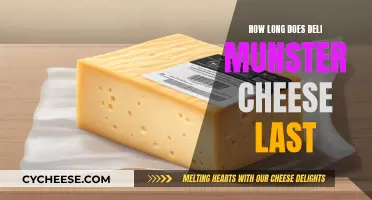 The Ultimate Guide to Storing Deli Munster Cheese