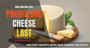 Provolone Cheese: How Long Does It Stay Fresh?