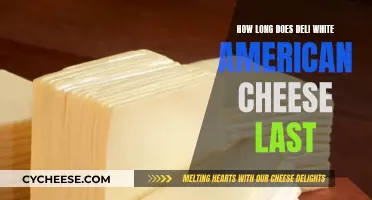 The Ultimate Guide to Storing Deli White American Cheese