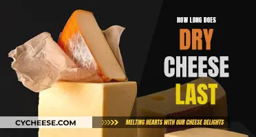 Cheese Storage: How Long Does Dry Cheese Stay Fresh?