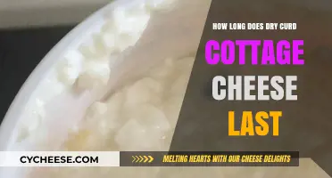 Dry Curd Cottage Cheese Shelf Life: How Long Does It Last?