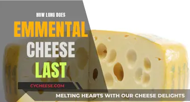 Emmental Cheese: How Long Does It Stay Fresh?