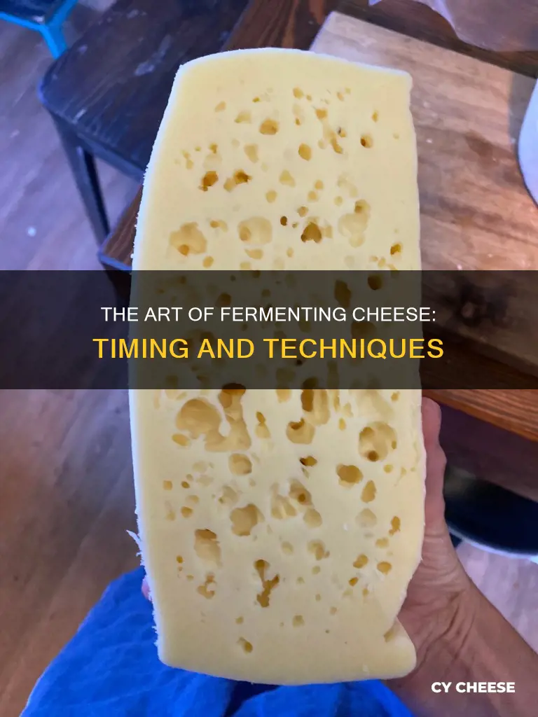 how long does fermentation of cheese take