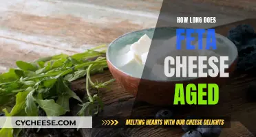 The Aging Process of Feta Cheese Explained