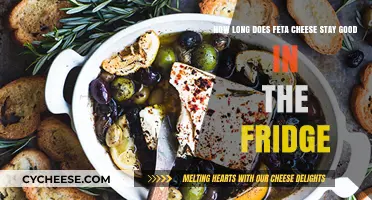 Feta Cheese: How Long Does it Last in the Fridge?